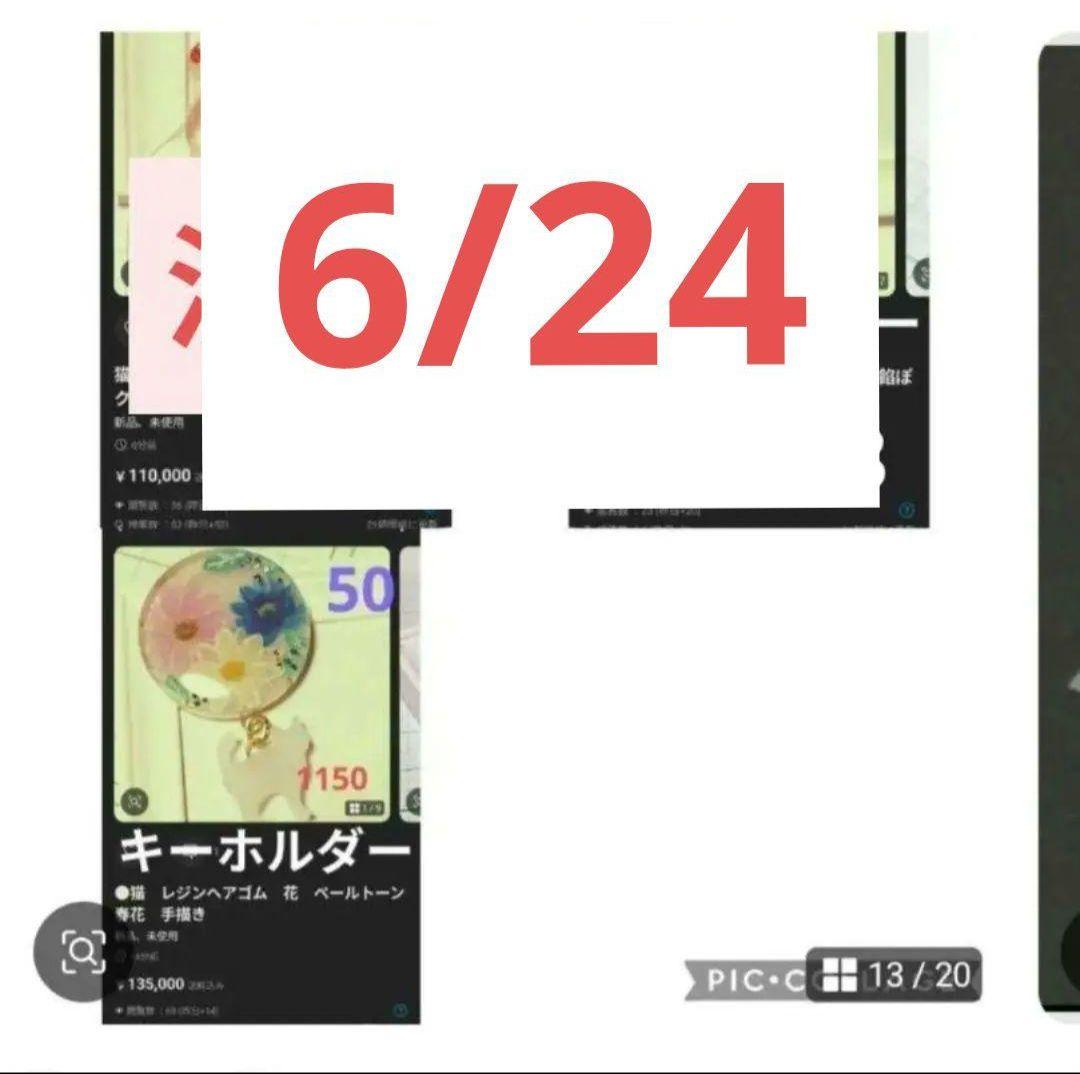 ひまうい様　6/24 ●猫　レジンヘアゴム　花　ペールトーン　春花　手描き