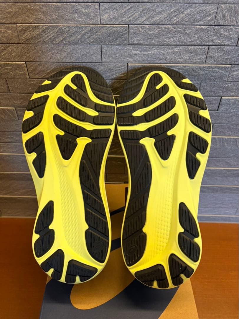 アシックス(asics) GT-2000 12