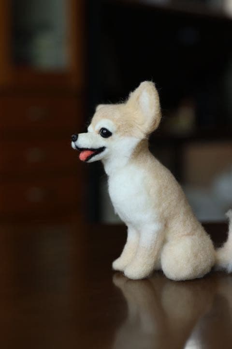 羊毛フェルト　ロングコートチワワ(柴犬カット)
