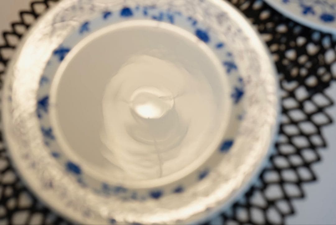 【新品未使用】ロールストランド ペルゴラ プレート 27cm 2枚組