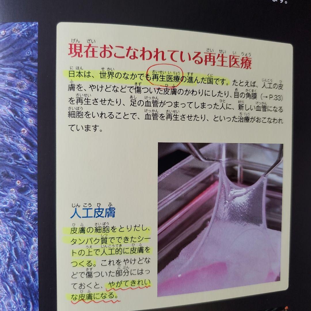 【最終値下げ】男の子　絵本まとめ売り　乗り物絵本多　ミッケ！せんろはつづく