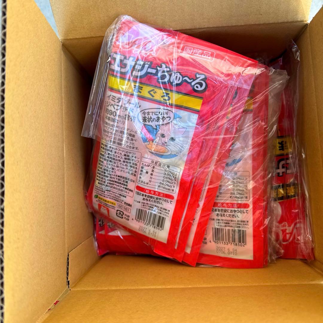 猫　　最終値下げしました！