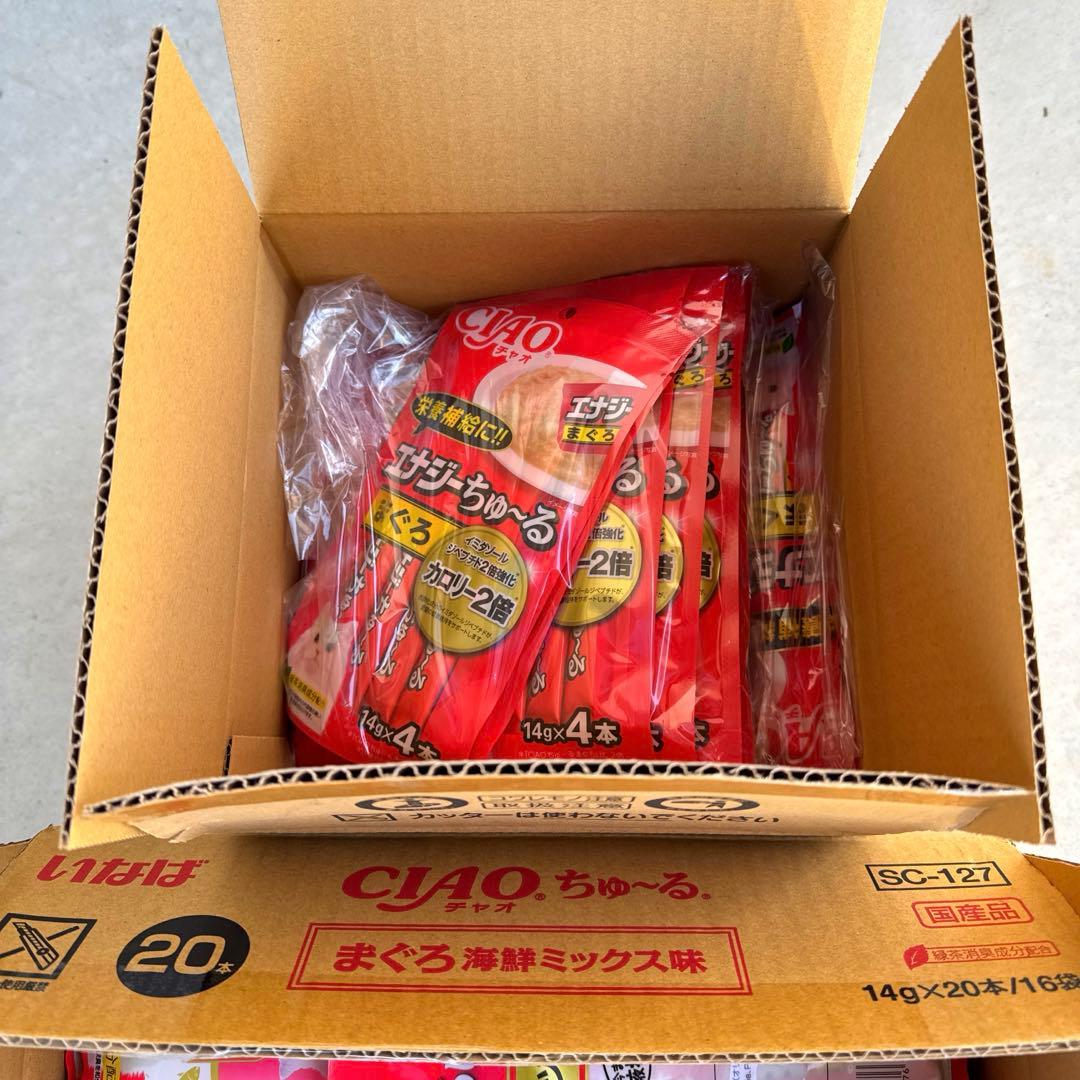 猫　　最終値下げしました！