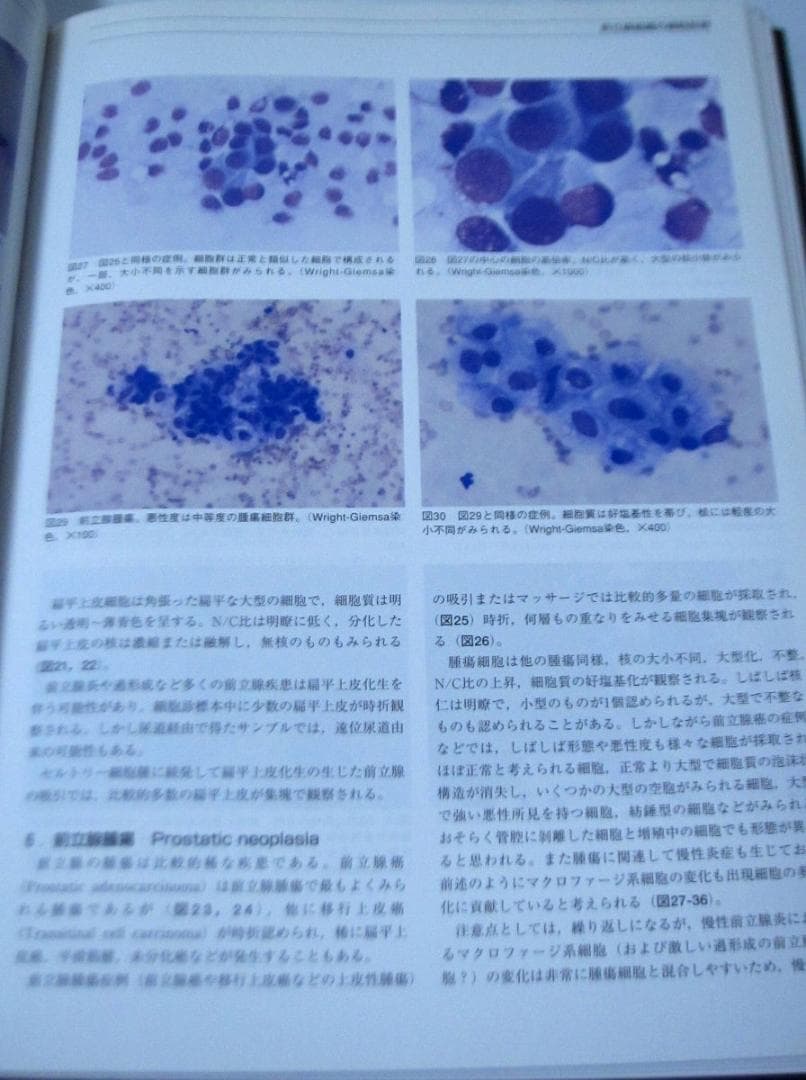 軟部外科 2 (プレミアム・サージャン２) インターズー