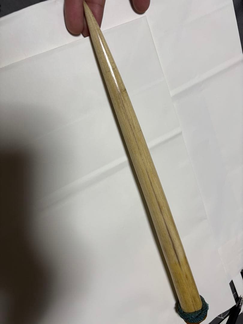 美品　セイウチ　牙　注象牙ではないです