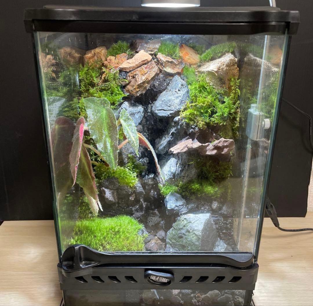 【Kazkaty】大きな滝のあるアクアテラリウム