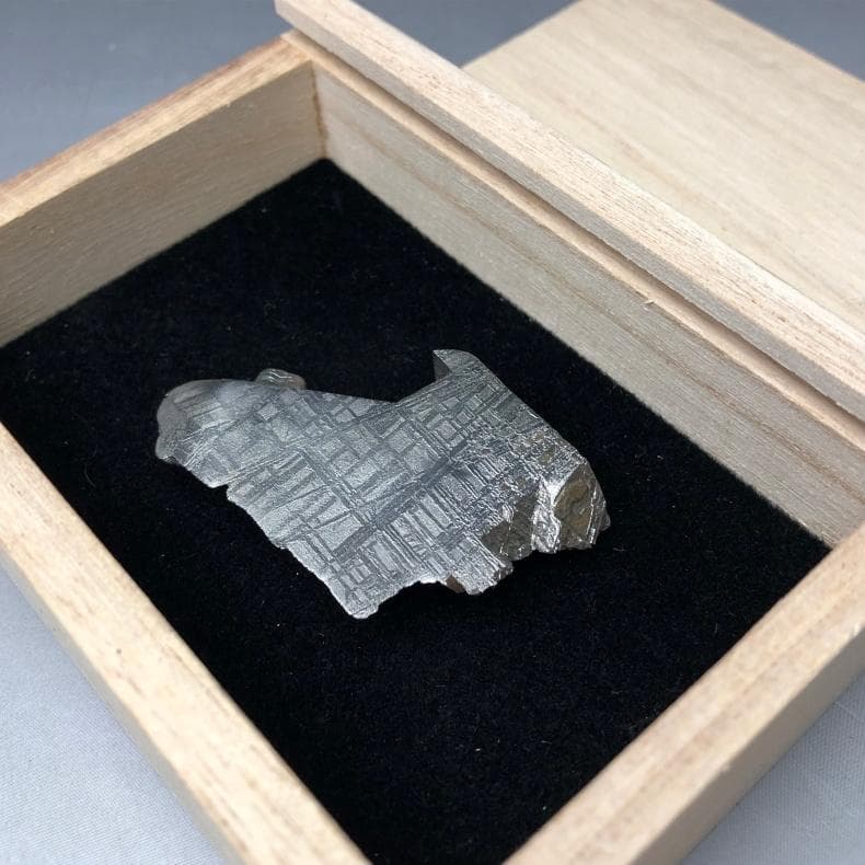 藤田　ギベオン隕石 Gibeon Meteorite 重さ41ｇ