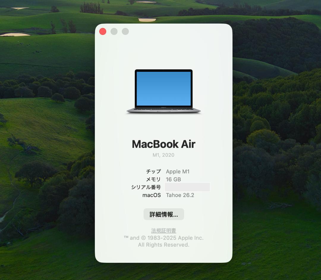 MacBook本体 Apple MacBook Air 13inch M1 256GB / 16GB