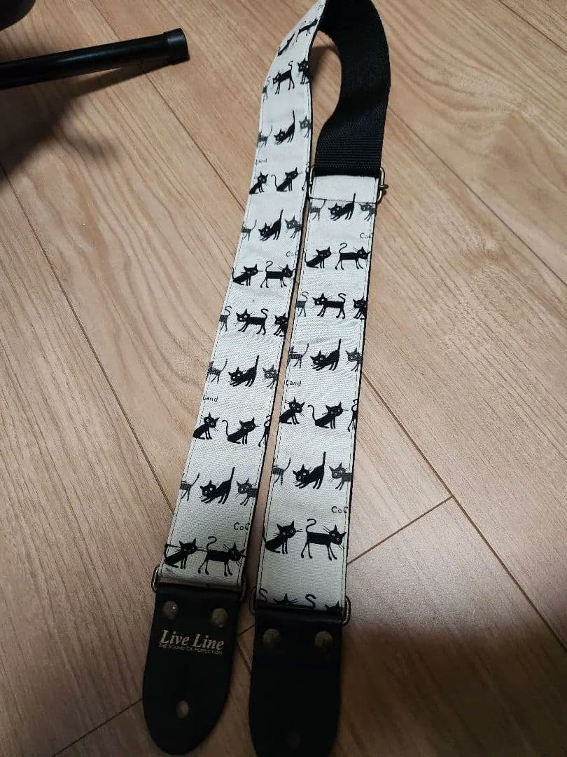 Fender Acoustasonic Player Telecaster 美品