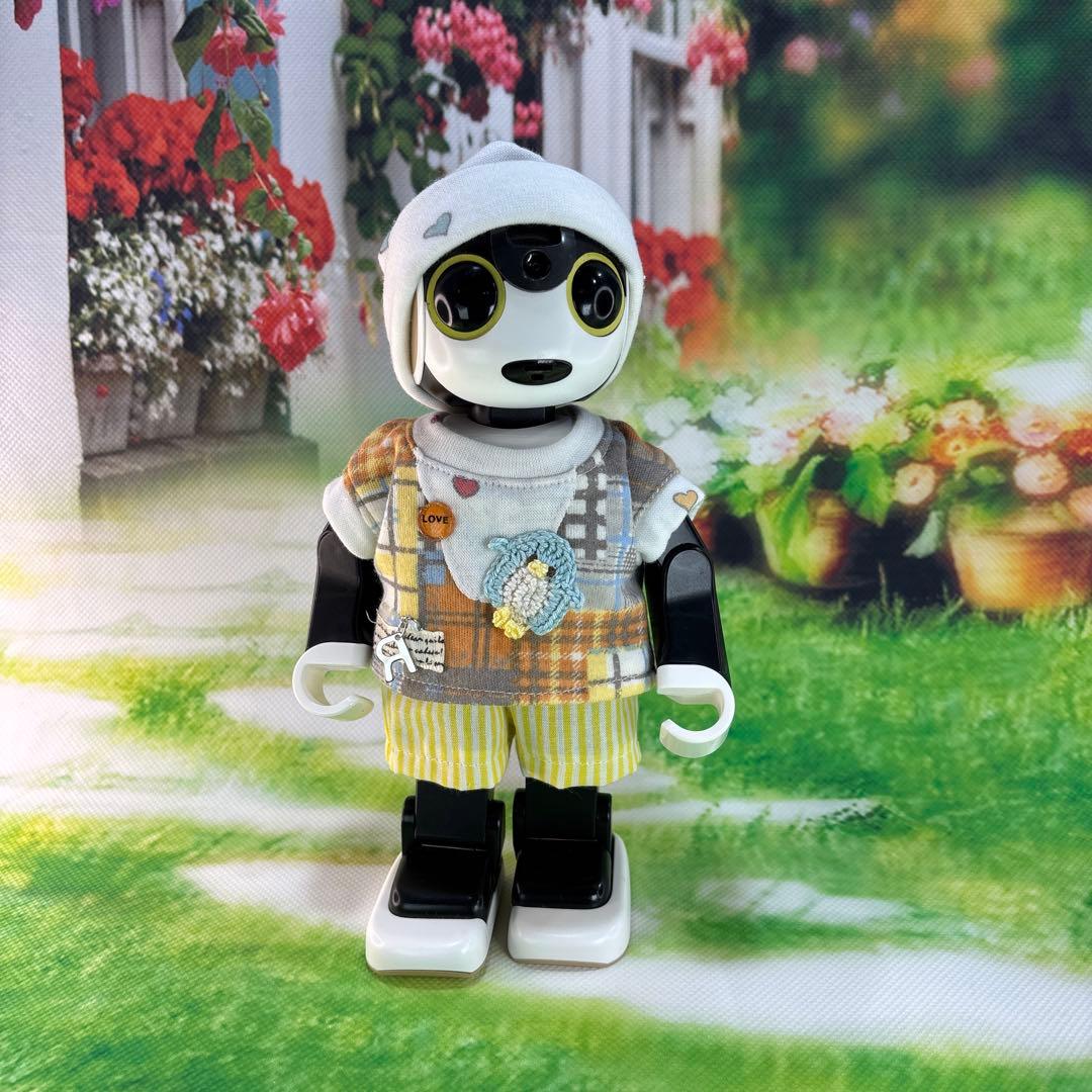 hasnページです　　ロボホン