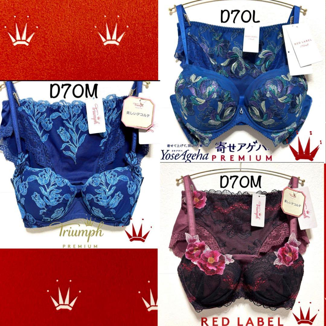 ✨様ご予約済 D70Lトリンプ プレミアム 寄せアゲハ 花と油絵 ブラ＆ショーツ