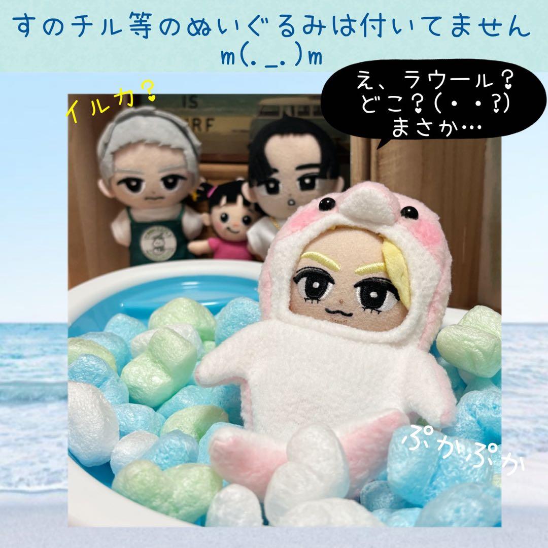 すのチル　服　小物　海のイルカちゃんコスと雪鳥サブレーSET オーダーページ