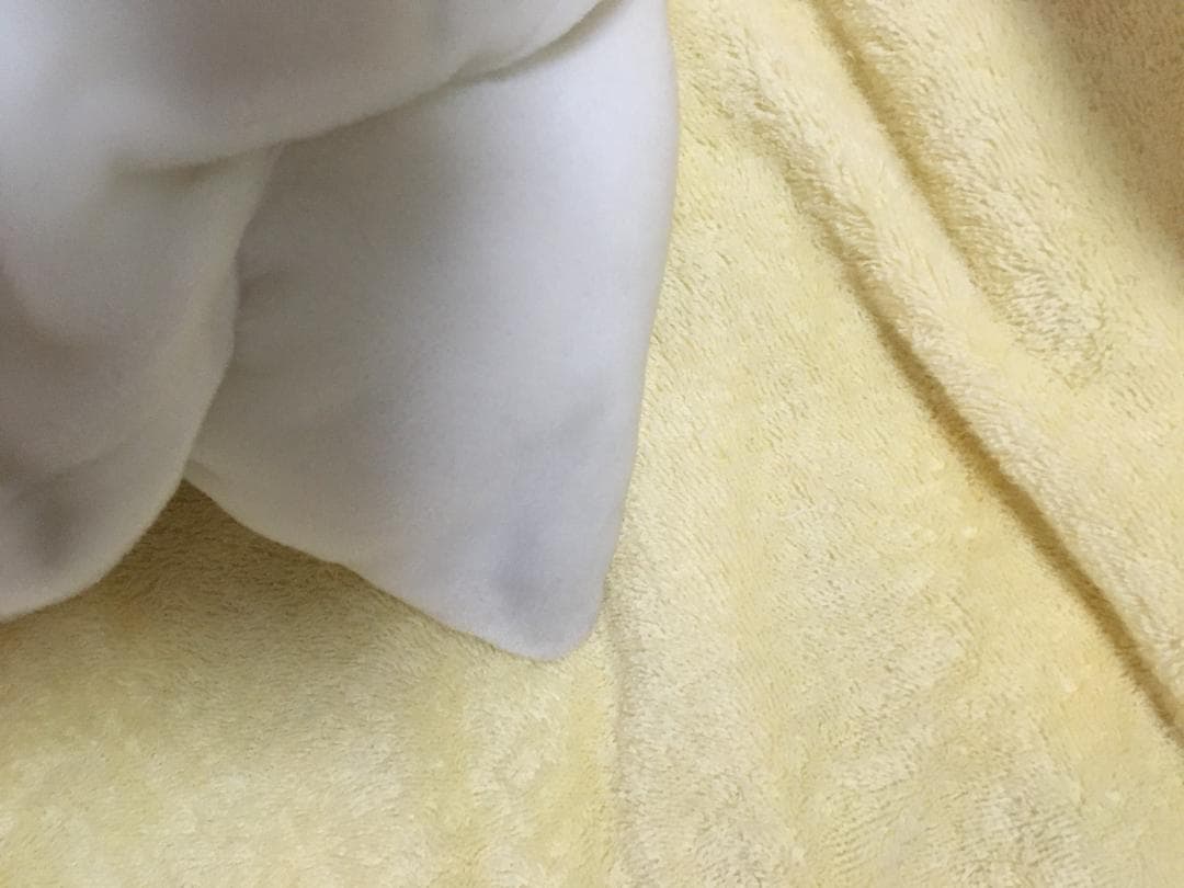 どこでもいっしょ 　井上トロブルブルクッション