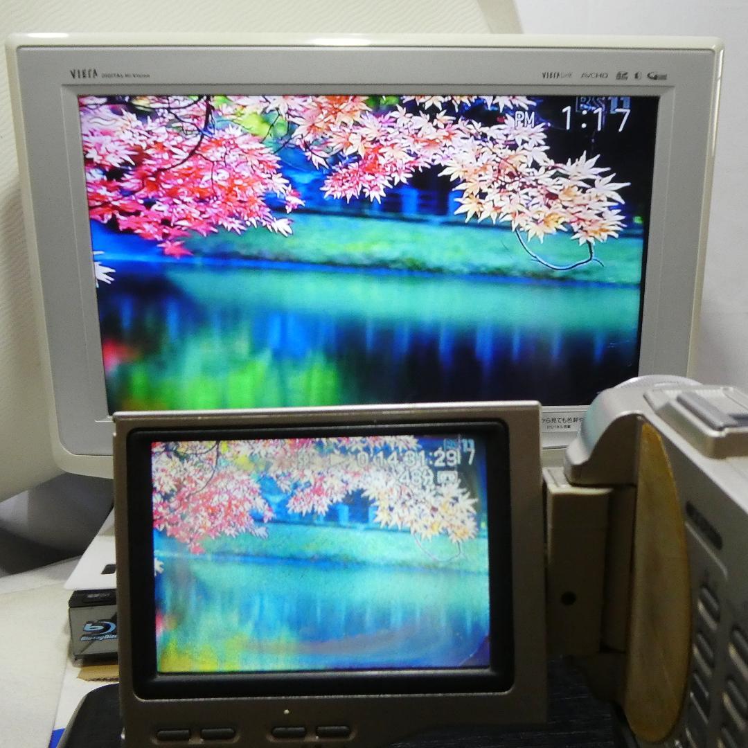 動作品 ソニー DCR-TRV10 MiniDVビデオカメラ　DVD化に最適