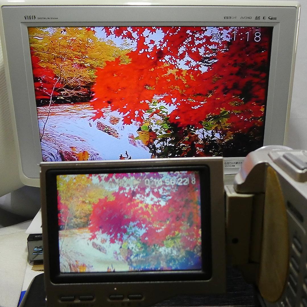 動作品 ソニー DCR-TRV10 MiniDVビデオカメラ　DVD化に最適