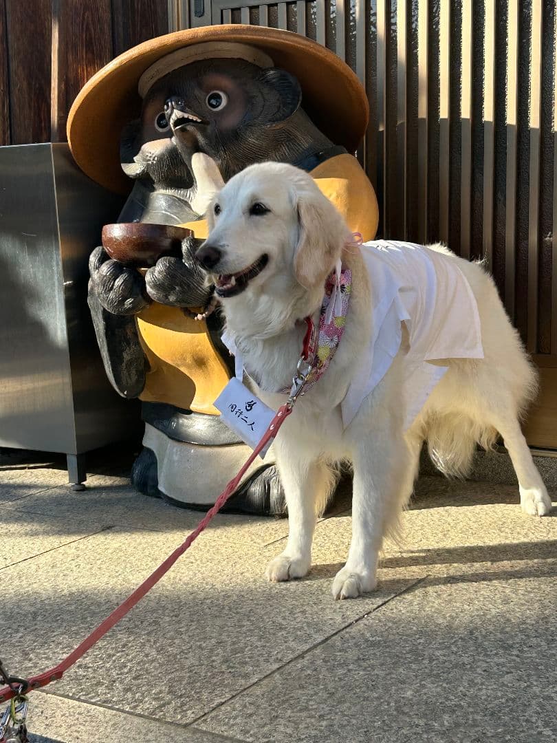 ペット用お遍路白衣さんや袋付き&輪袈裟　大型わんちゃん用　3点セット