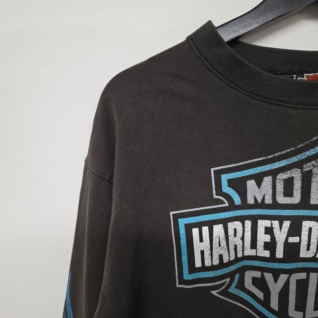 1996年コピーライト入　USA製　ハーレーダビッドソン　ターコイズファイヤー