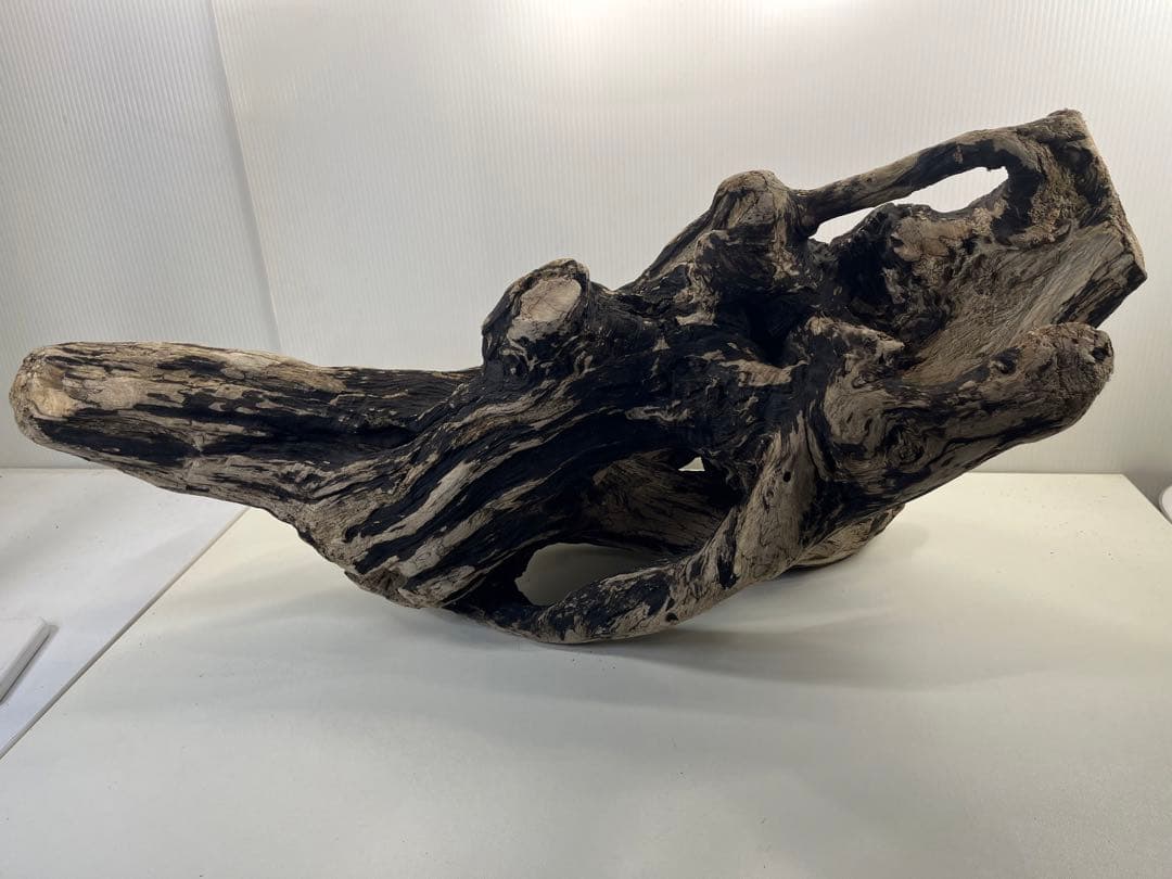 m46特大流木 大型流木 アク抜き済み 爬虫類シェルター レイアウト用 隠れ家