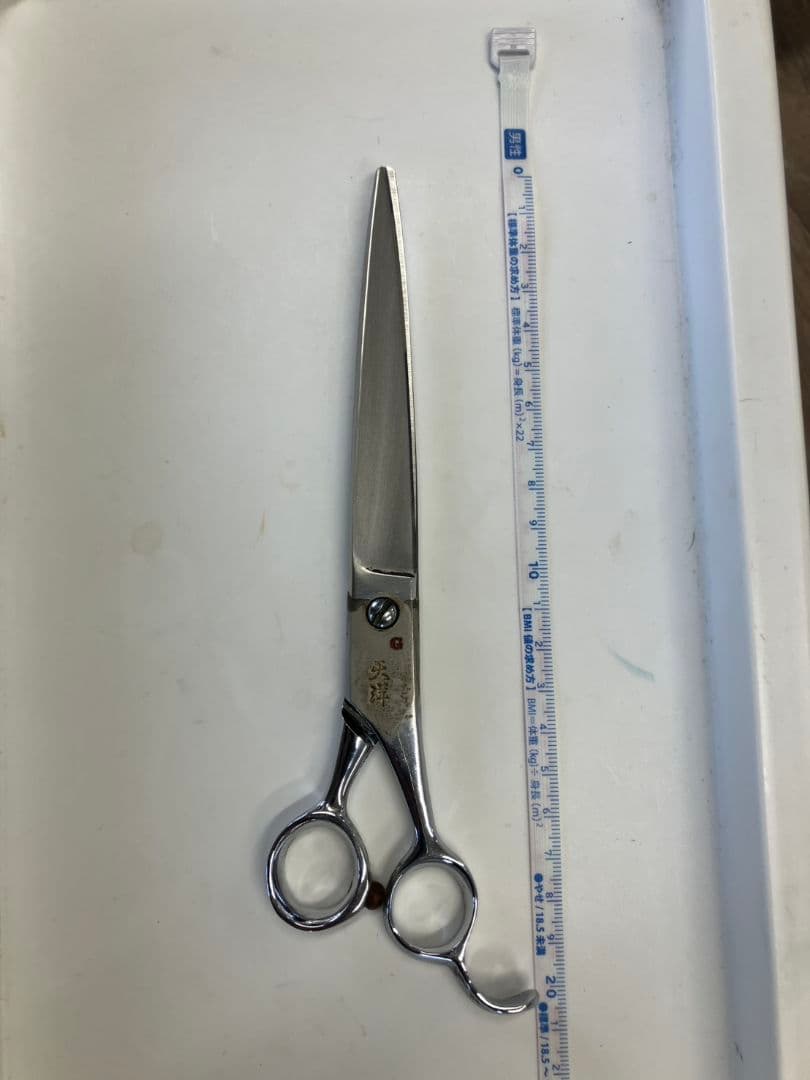 天洋Gにちょうがけ