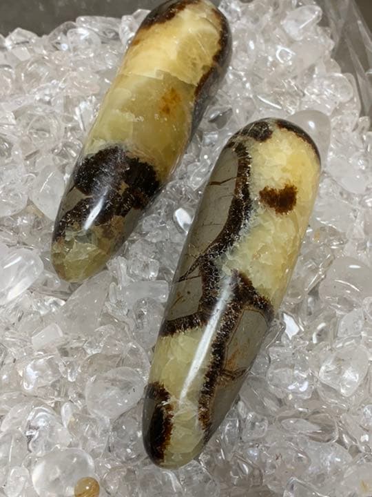 マダガスカル産　セプタリアン