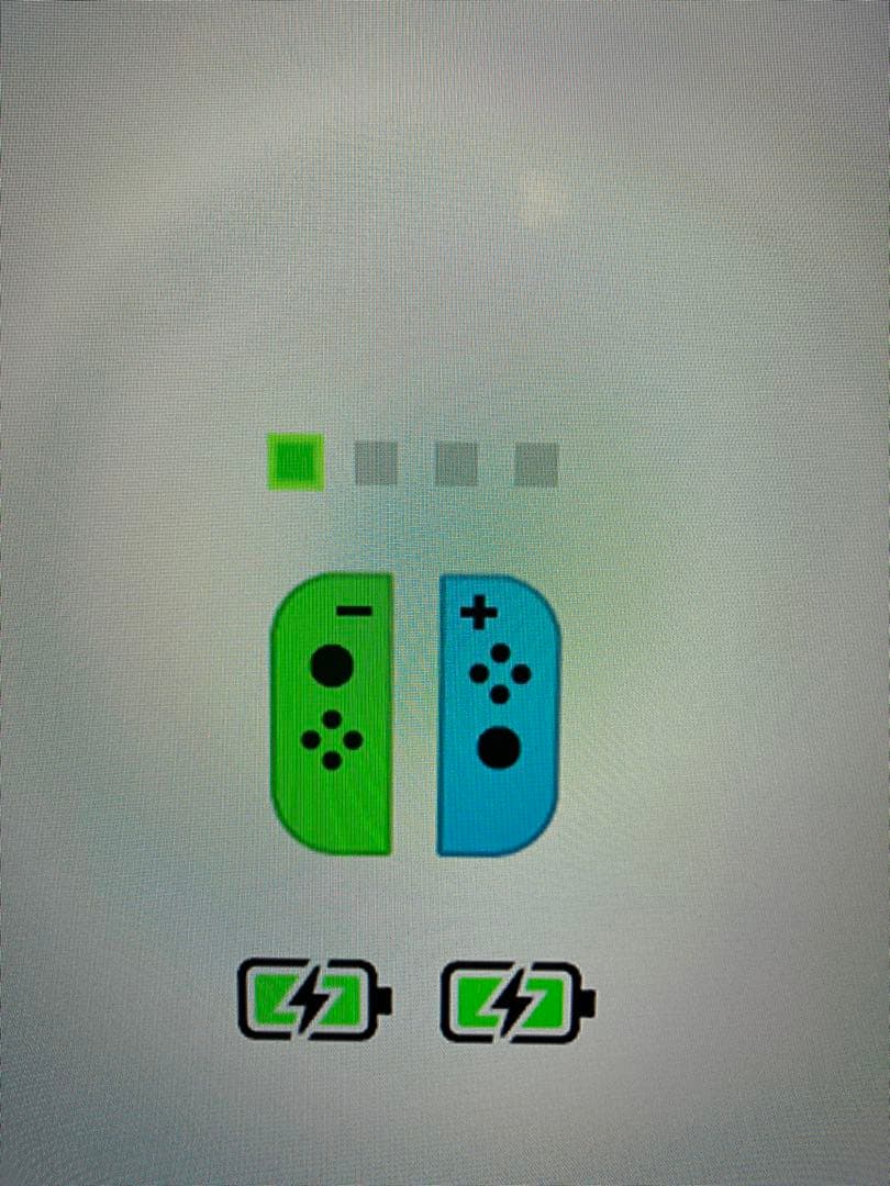 Nintendo Switch 本体 後期型 / SDカード256GB等おまけ付