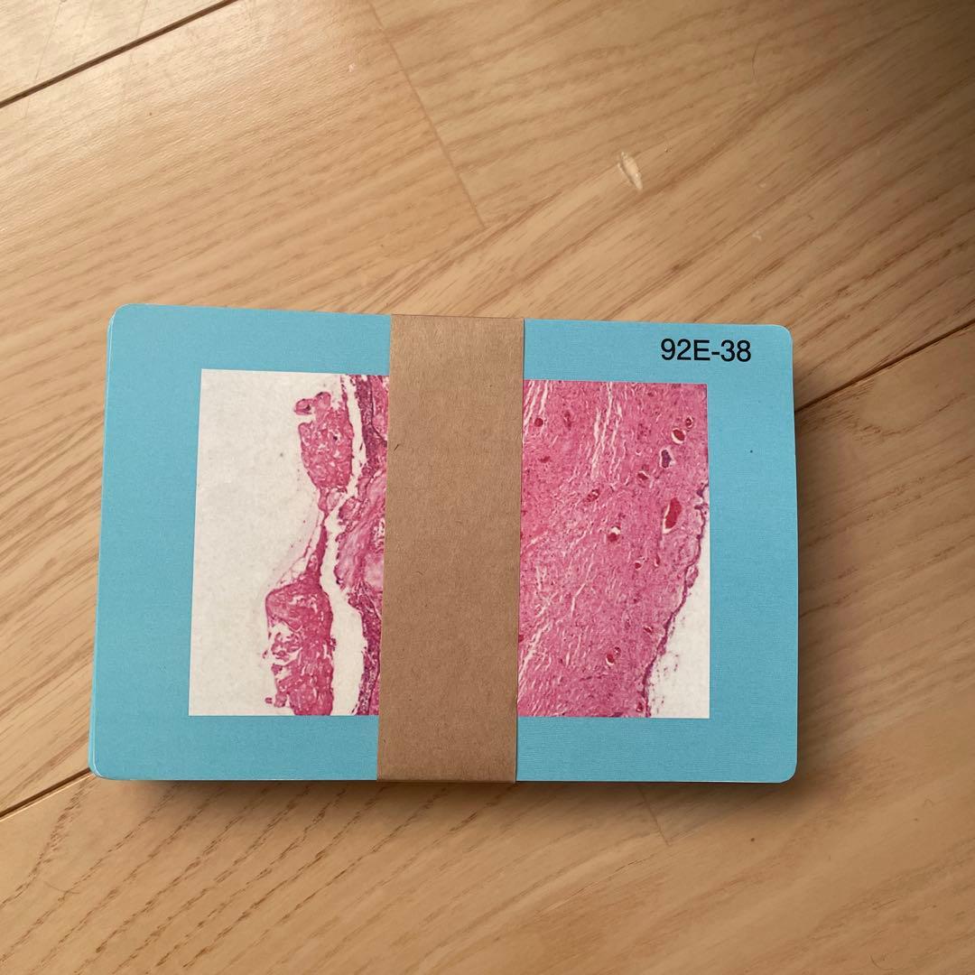 歯科国試 ANSWER 2025 1-4巻 + 超直前 Part1