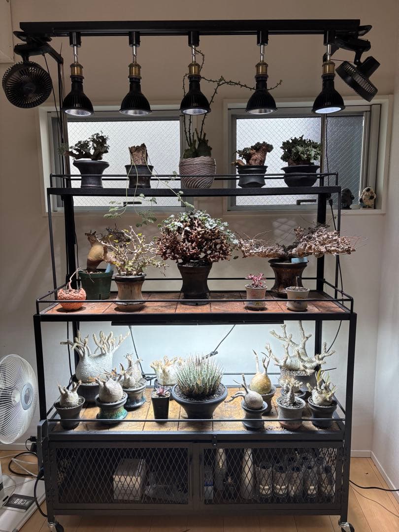 ボタニカルシェルフ　植物用金属ラック ダクトレール2段式