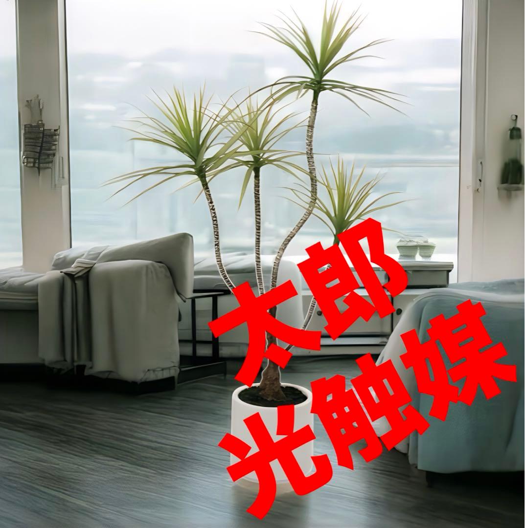 光触媒　人工観葉植物　ウォールきグリーン　フェイクグリーン　ドラセナポット110