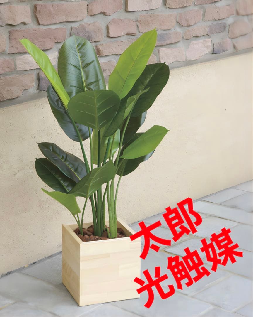 光触媒　人工観葉植物　ウォールグリーン　ウッドボックススキンダプサス85