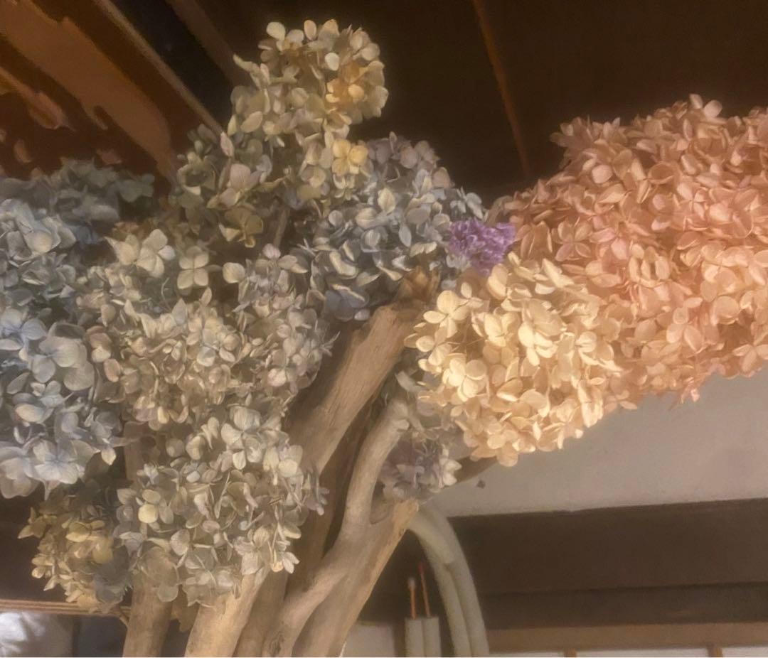 ゆりか 流木の照明枠