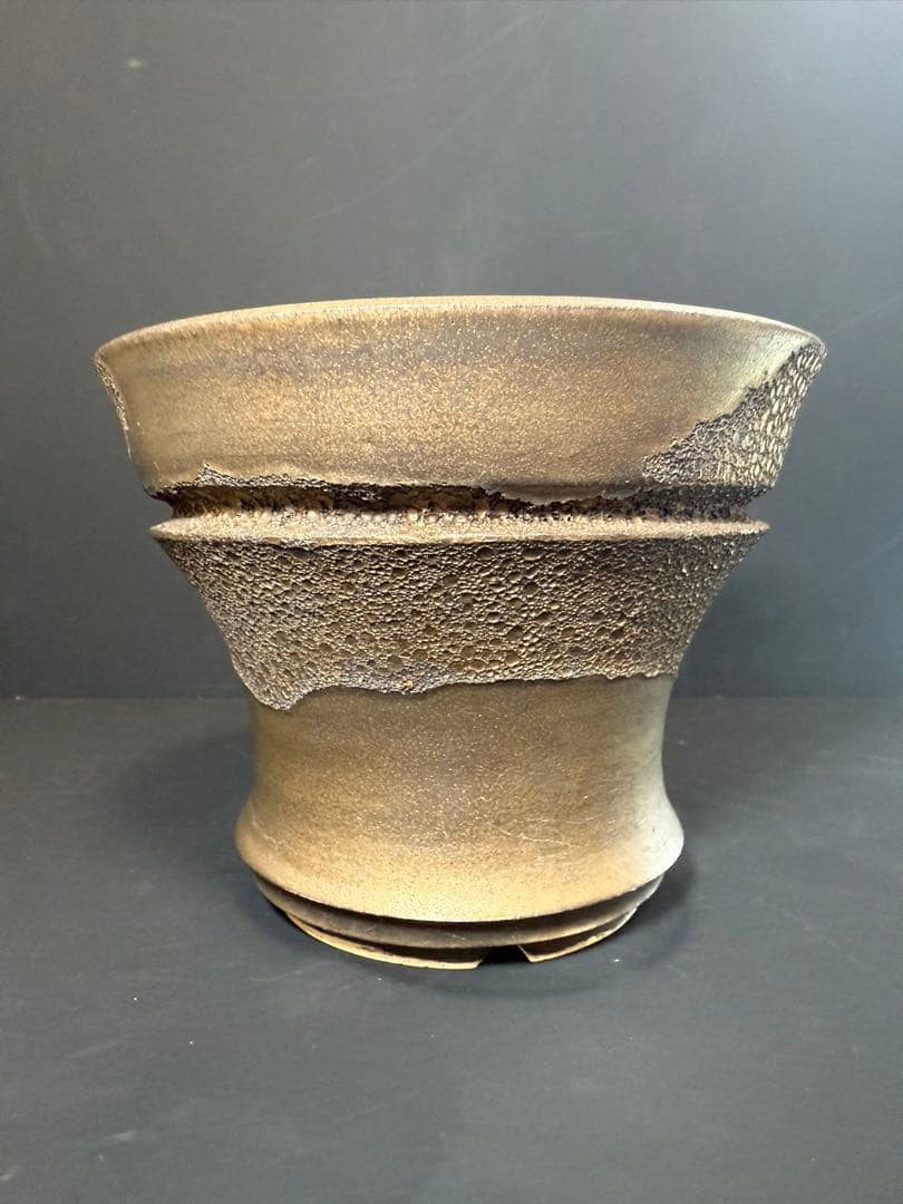 Wild Heaven 高級 陶器鉢 作家鉢 アガベ 塊根植物 観葉植物 A