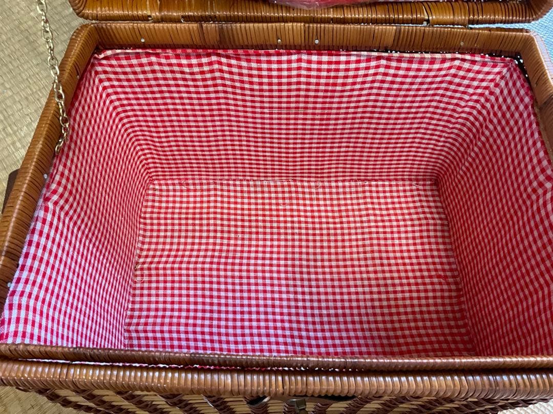 SONY・ハンディカム・スタミナランチバスケット【懸賞品、新品、未使用品】。