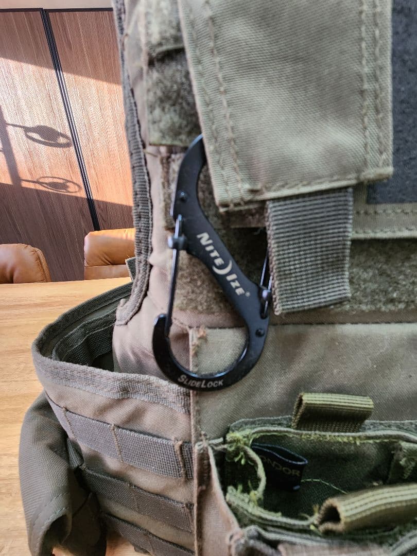 DBT UTOCタイプ プレートキャリア(レンジャーグリーン)米国 FBI 装備