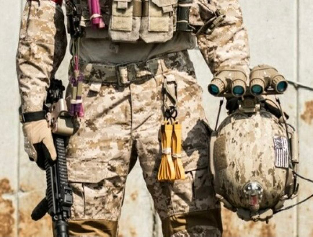 マリタイム　ヘルメット　AOR1 水転写