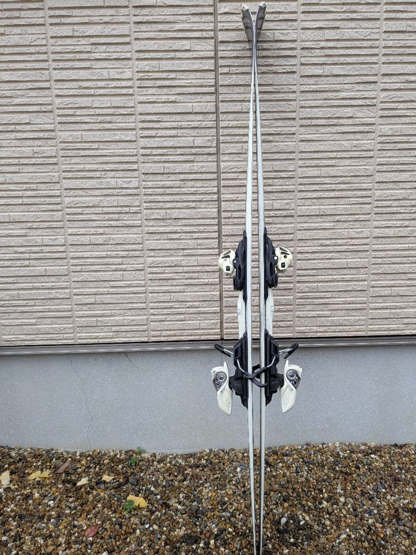 VOLKL （フォルクル）レディース ビオラ スキー　155cm