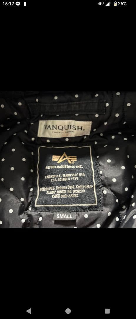 超希少　vanquish×alpha n2-b n2b flight jkt