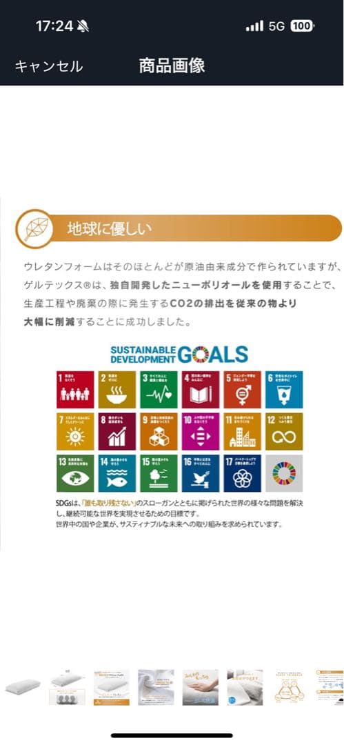 Geltex ゲルテックス 枕 まくら 高機能 通気性 低め