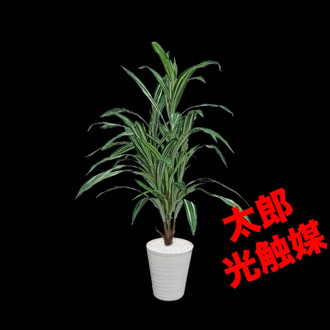 光触媒　人工観葉植物　ウォールグリーン　フェイクグリーン　4Fドラセナ1870