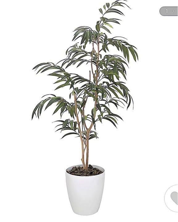 光触媒　人工観葉植物　ウォールグリーン　フェイクグリーン　ショウナンゴム