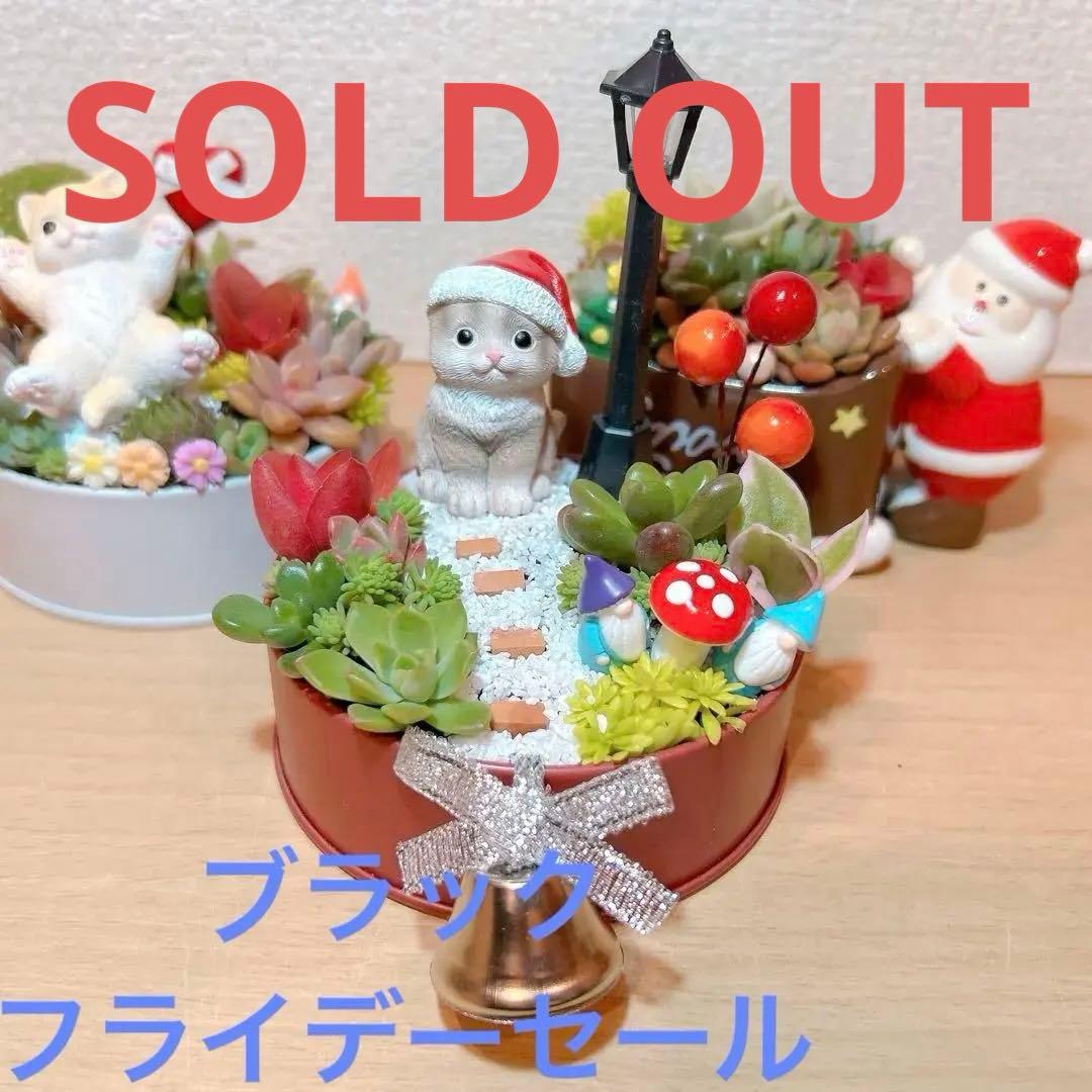 メルカリ便♫多肉植物寄植え♫そのまま飾れる♫ねこちゃんセットChristmas