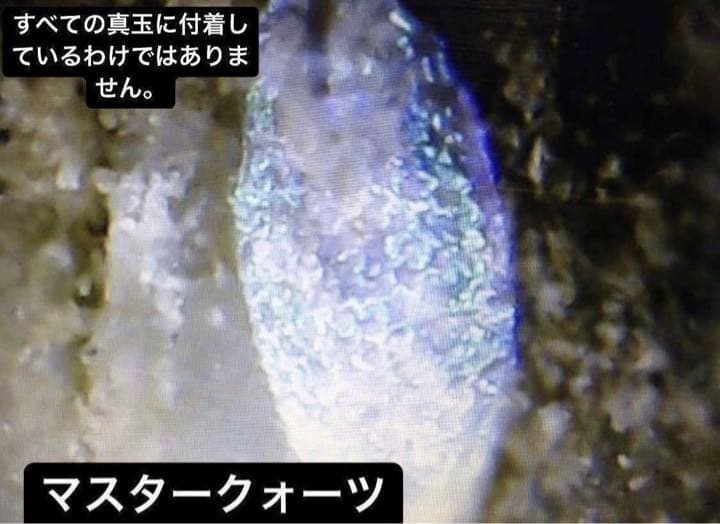 認証コード:ijs00002261 『秀眞』桐箱 2kg