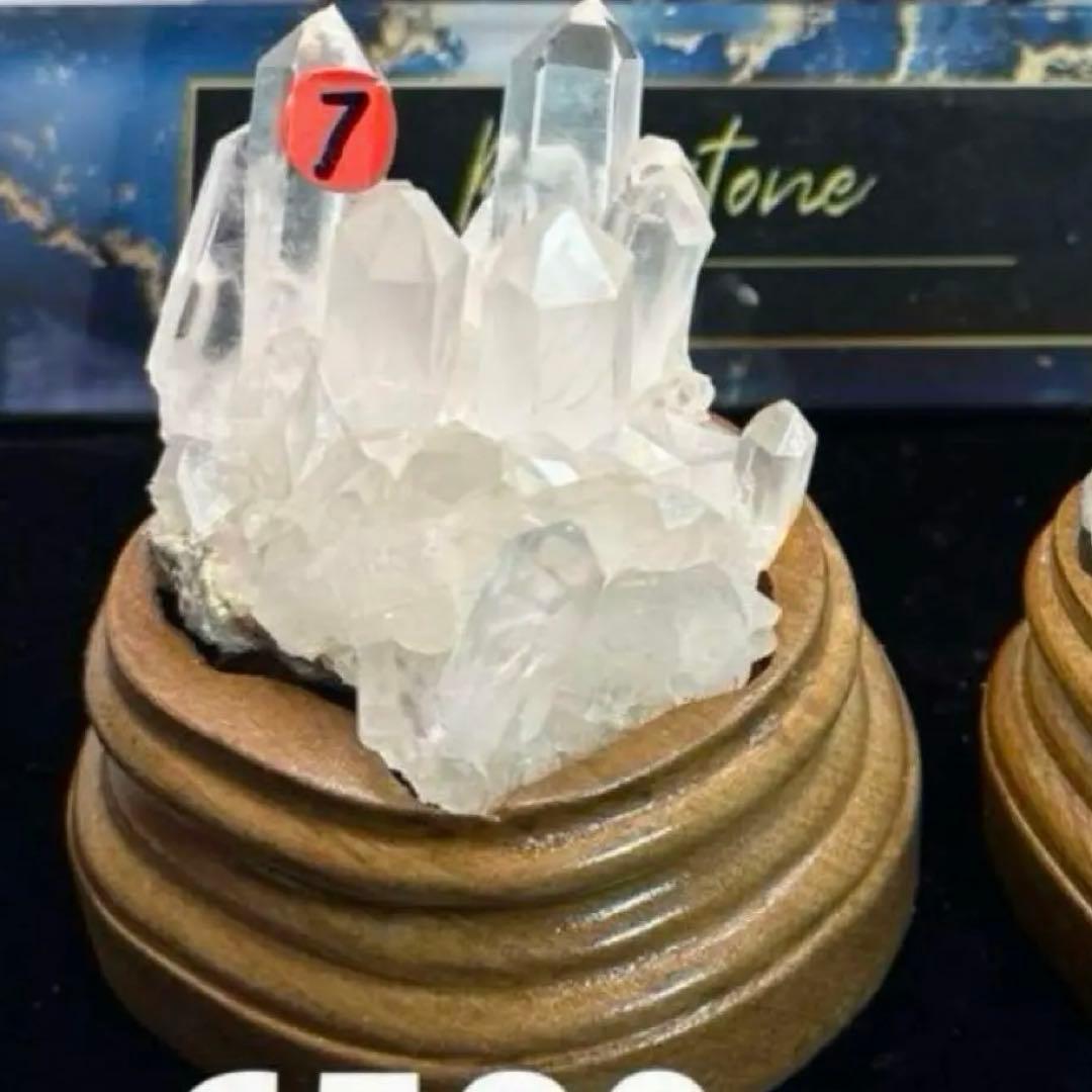 ☆コロパル様☆