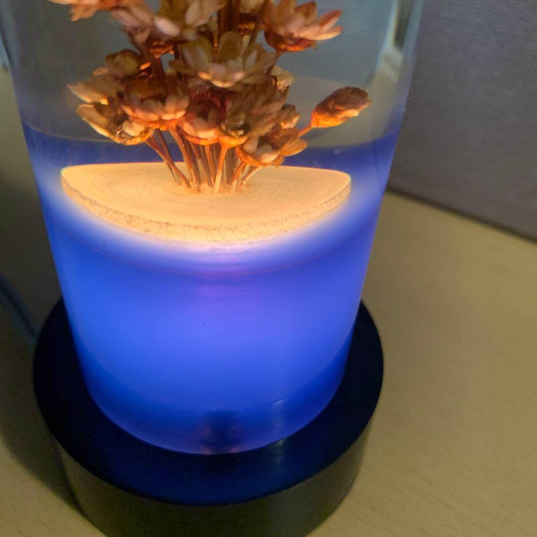 水中花 ライト 中間スイッチ付コード デコトラ 昭和レトロ 当時物