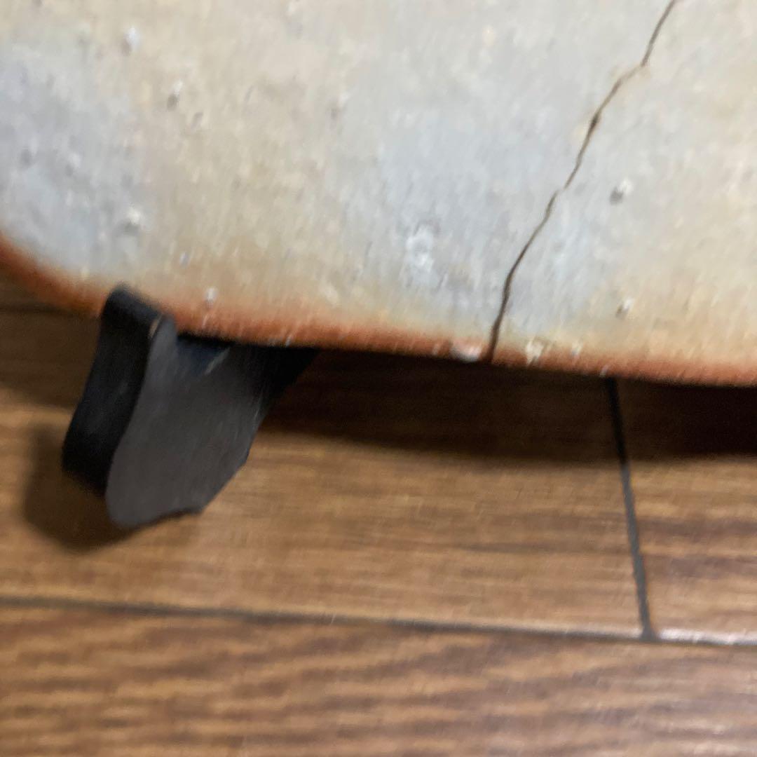 大皿　杉本　貞光