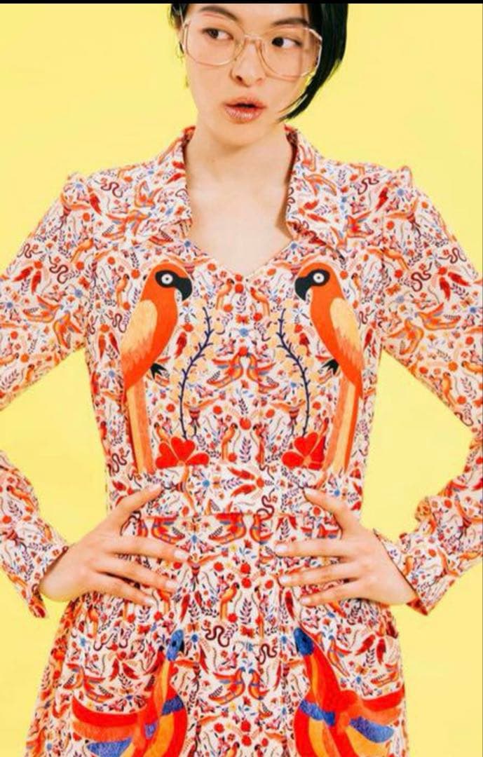 ANNASUI アナスイ雑誌Ginza コラボ★鳥柄ワンピース★限定品69000