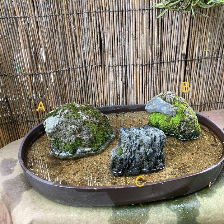 盆石【A】【B】【C】3点セット+鉢付き