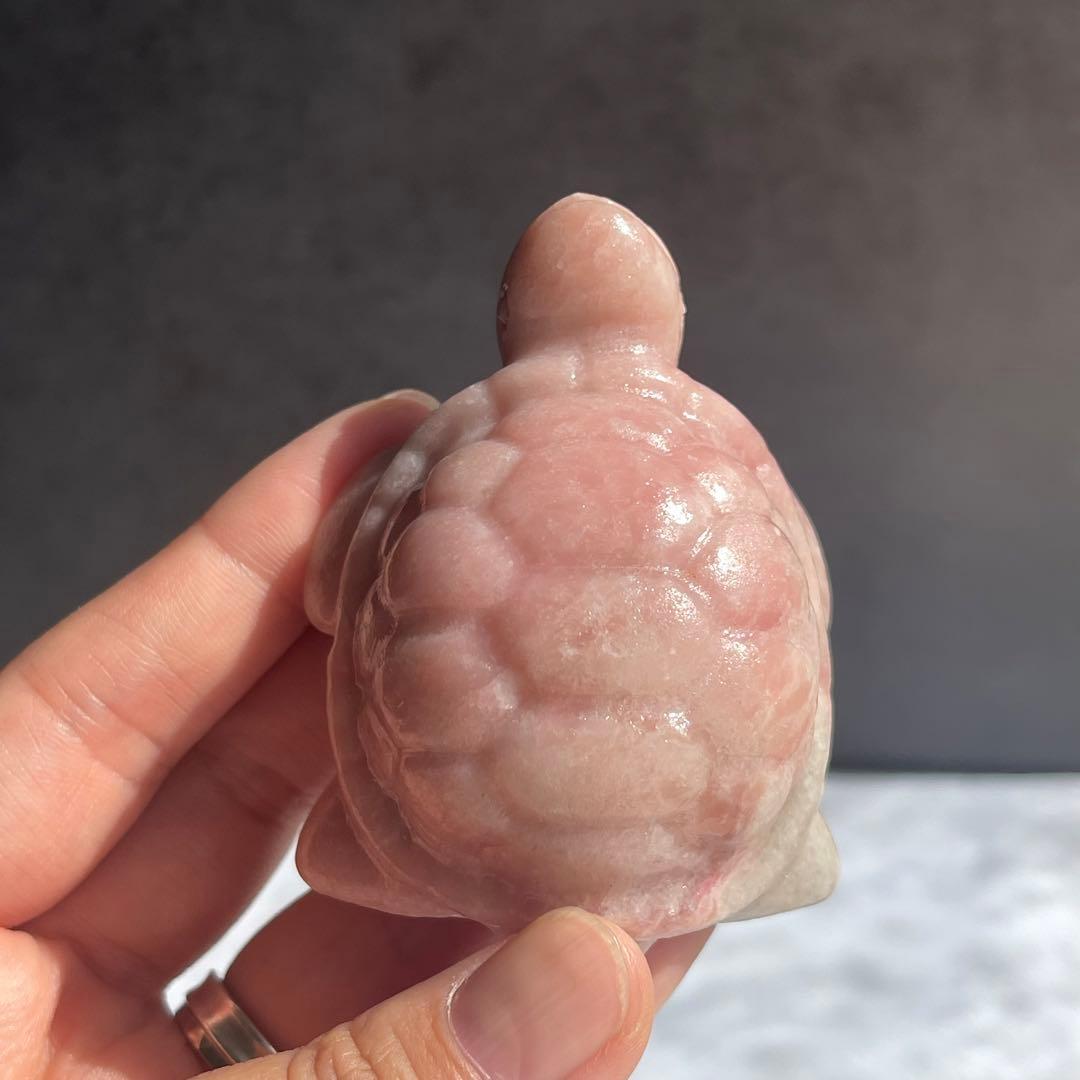 ピンク オパール 亀