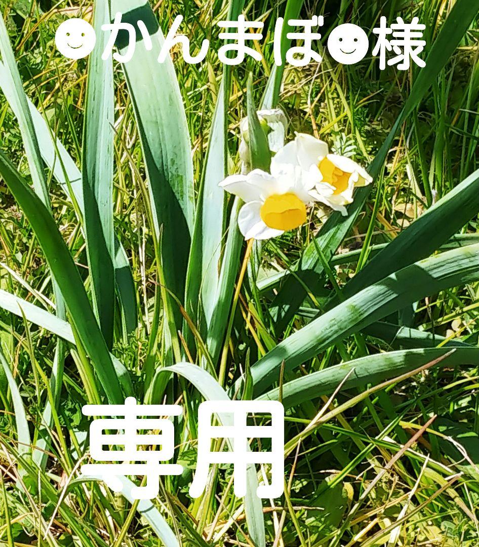 ☻かんまぼ☻　リクエスト商品おまとめ