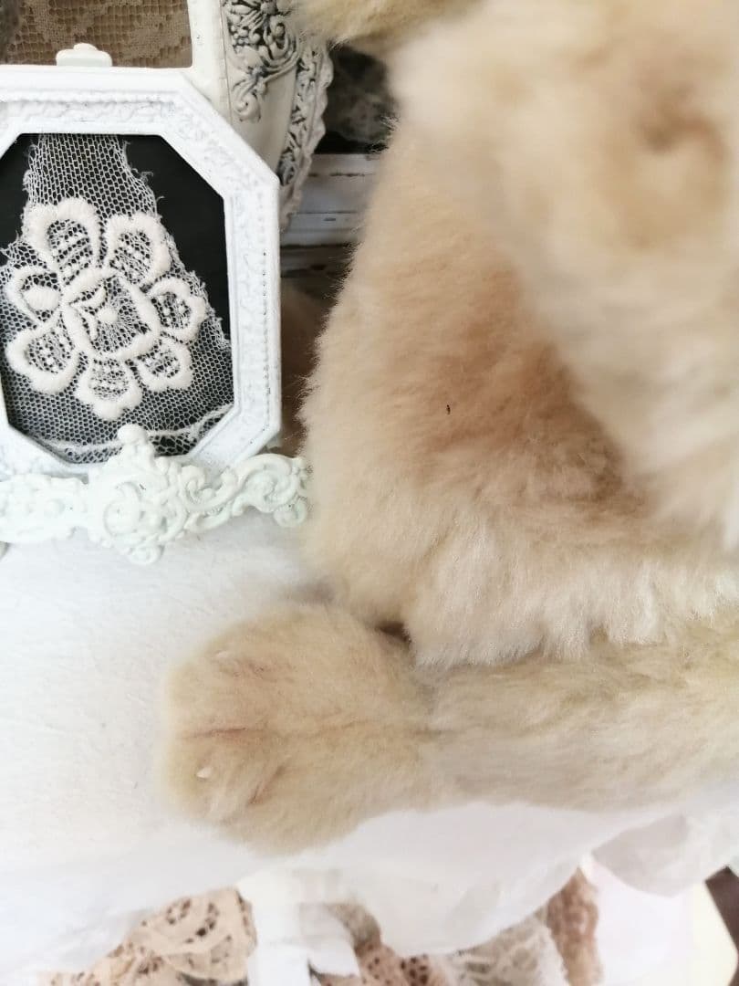 RIKUMU様♡オーダー♡ペキニーズ♡ワンちゃん♡犬♡アートドール♡ぬいぐるみ