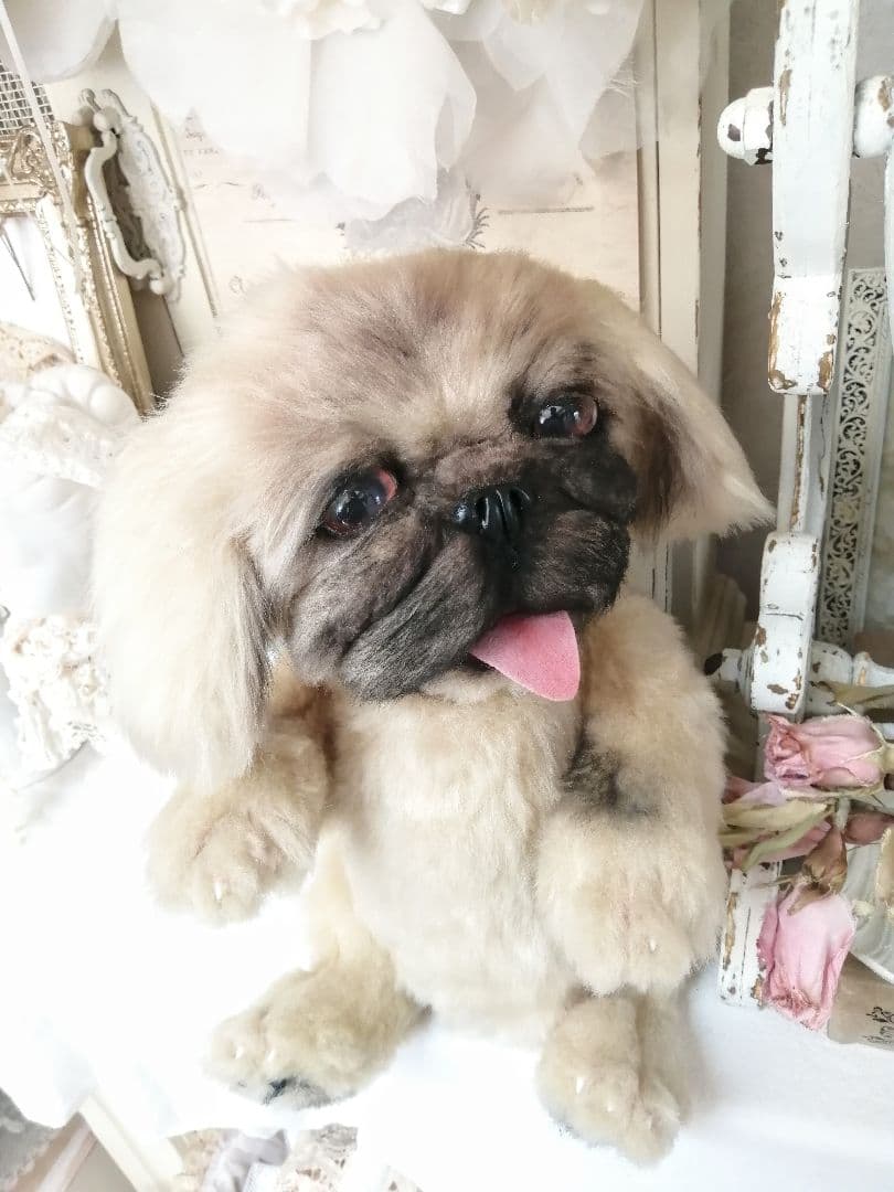 RIKUMU様♡オーダー♡ペキニーズ♡ワンちゃん♡犬♡アートドール♡ぬいぐるみ